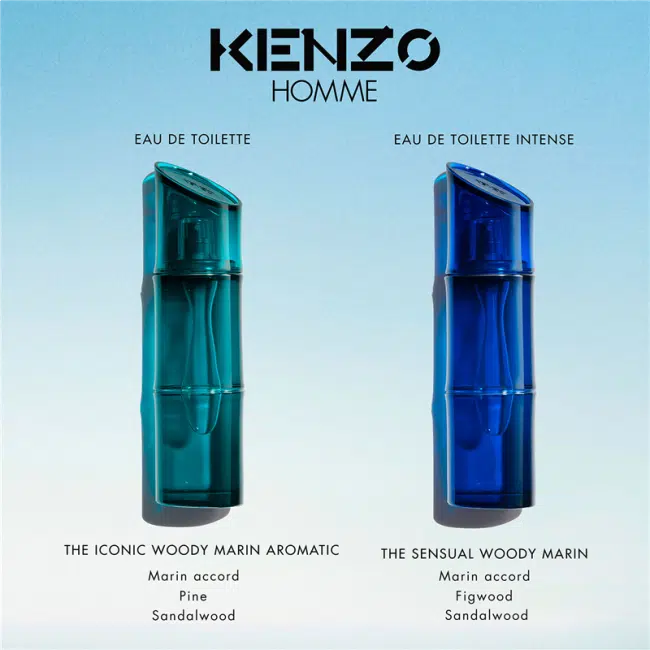 Homme Intense eau de toilette spray