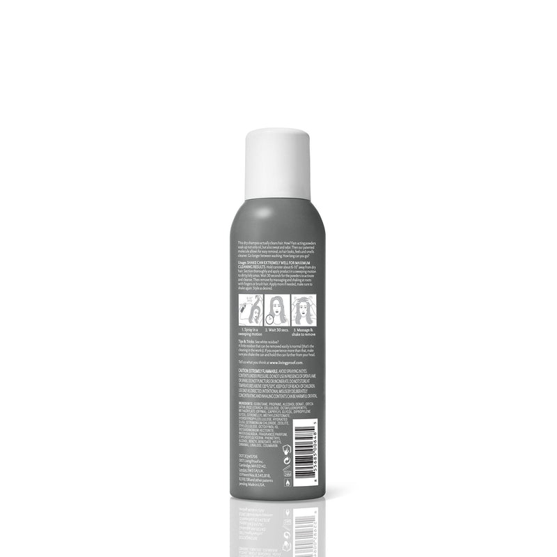Perfect hair Day Dry Shampoo-DRY SHAMPOO-Hairsense