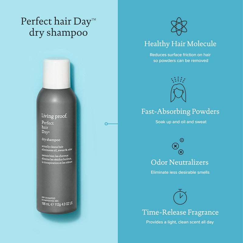 Perfect hair Day Dry Shampoo-DRY SHAMPOO-Hairsense