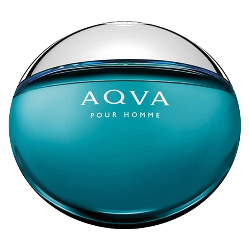 Aqua Pour Homme eau de toilette spray