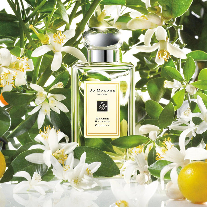 Orange Blossom cologne spray