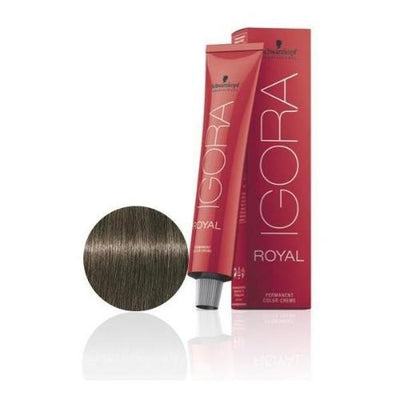 Igora Royal Color 6-1 Ash Dark Blond-HAIR COLOR-Hairsense