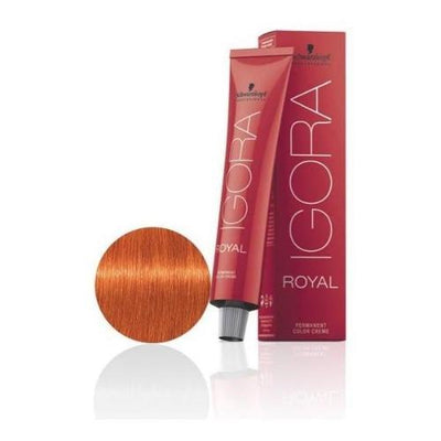 Igora Royal Color 8-77 Copper Extra Light Blond-HAIR COLOR-Hairsense
